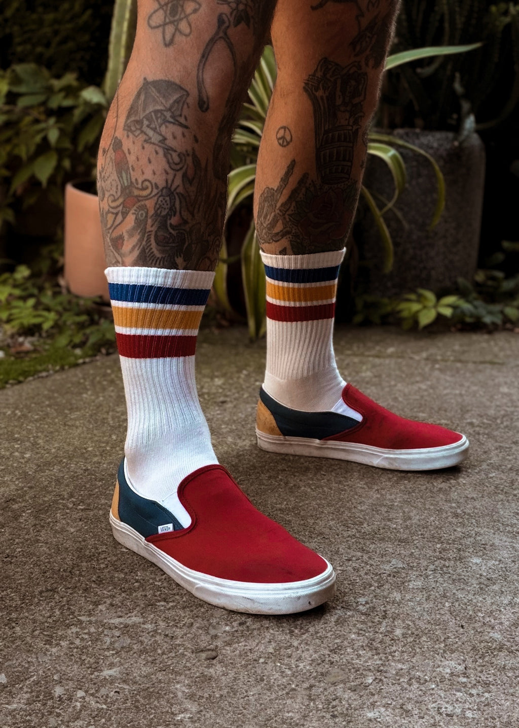 Primary crew socks