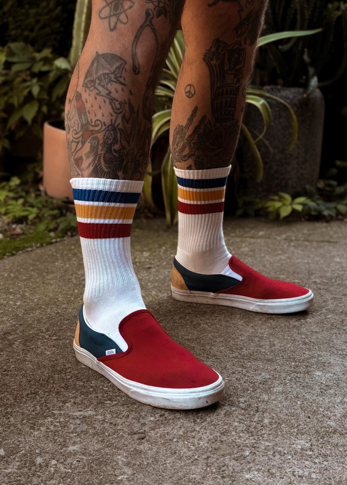 Primary crew socks