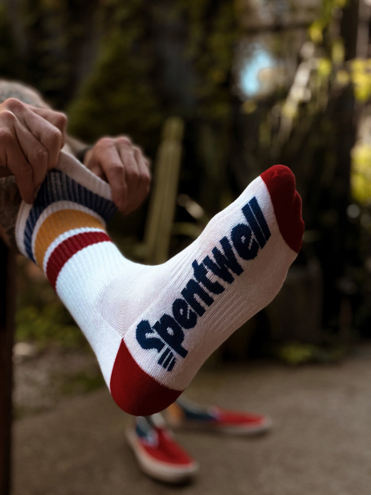 Primary crew socks