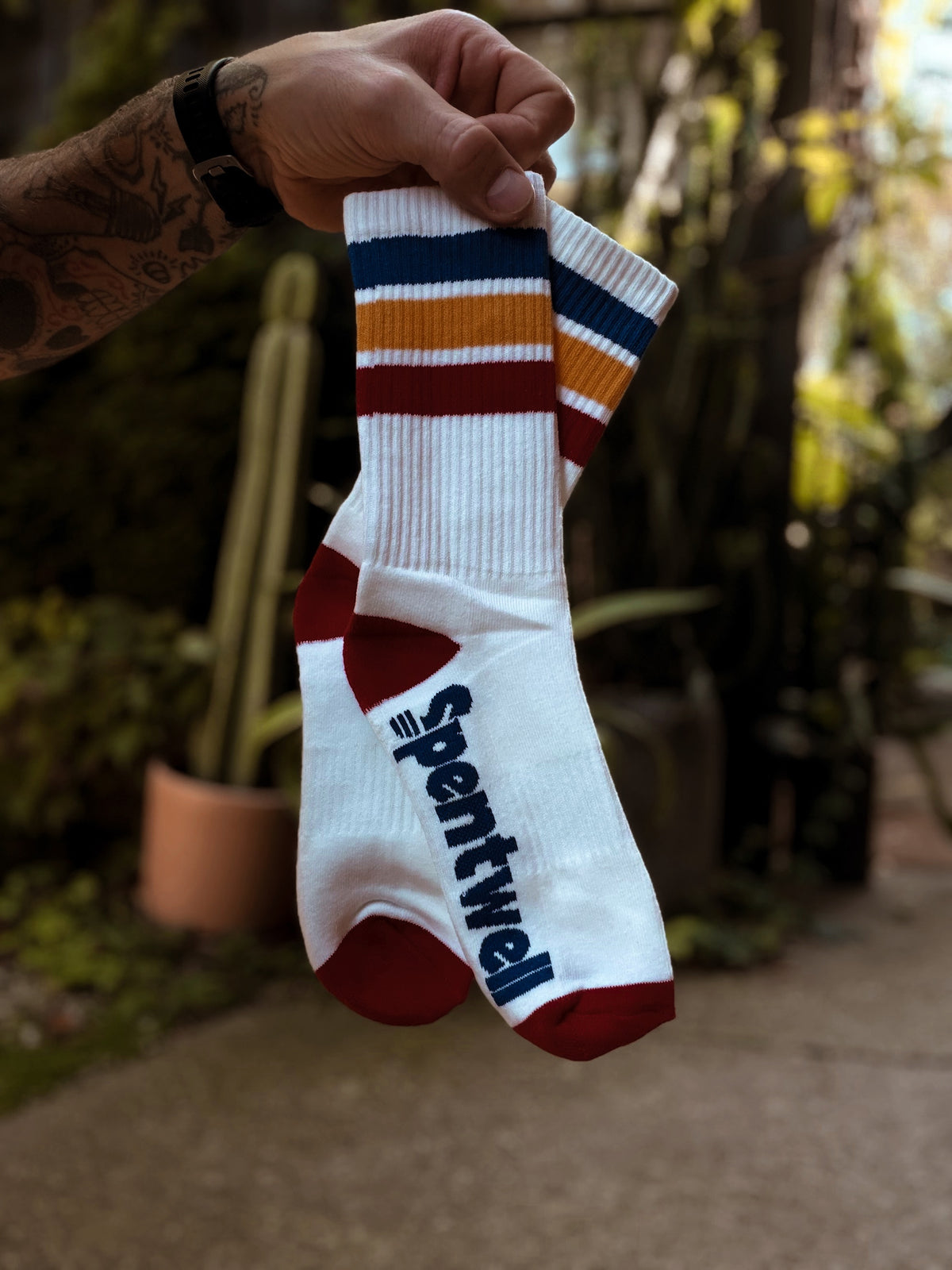 Primary crew socks